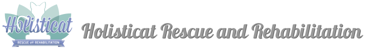 Holisticat Rescue And Rehabilitation