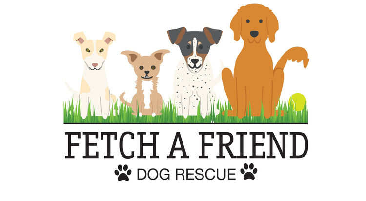 Fetch A Friend Rescue