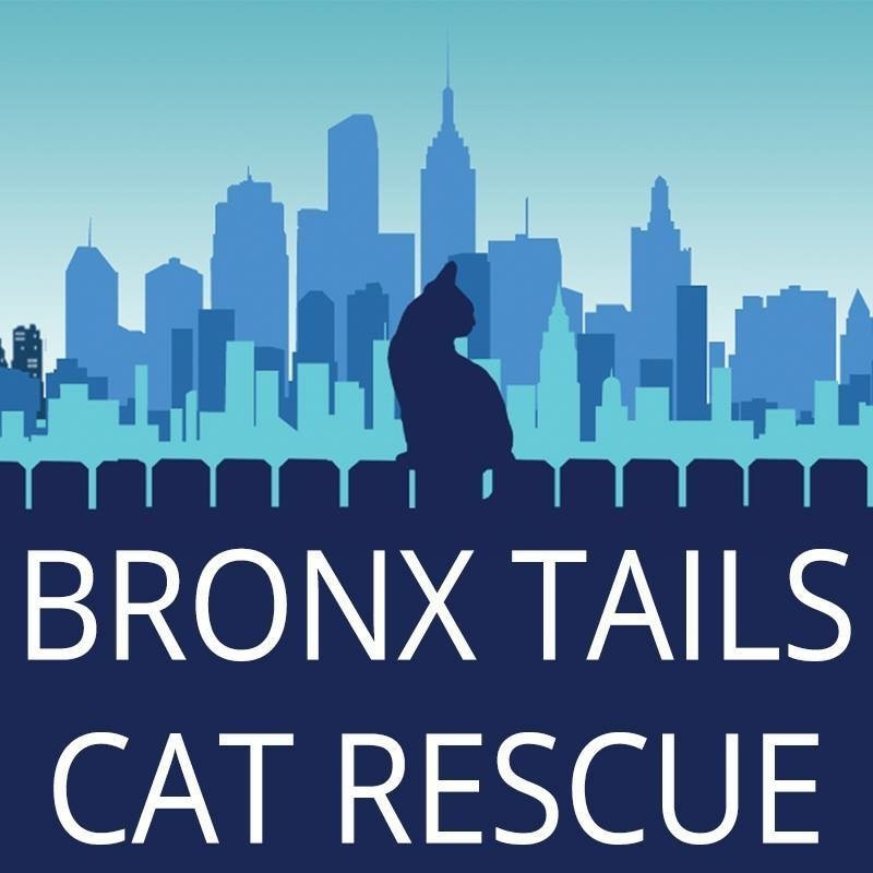 Bronx Tails Cat Rescue