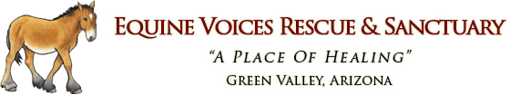 Equine Voices Rescue & Sanctuary