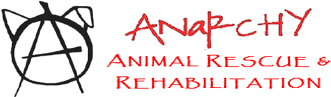 Anarchy Animal Rescue