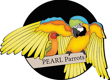 Pearl Parrot Rescue