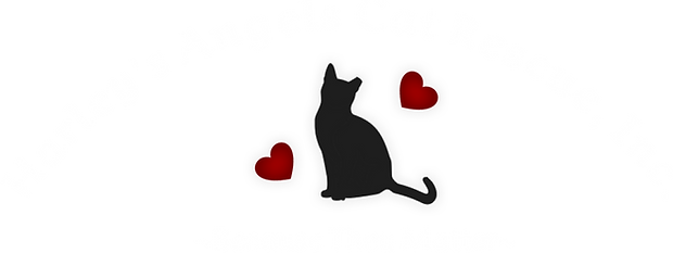 Harley's Angels Cat Rescue, Inc.