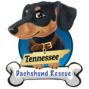 Tennessee Dachshund Rescue