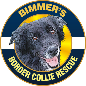 Bimmer's Border Collie Rescue