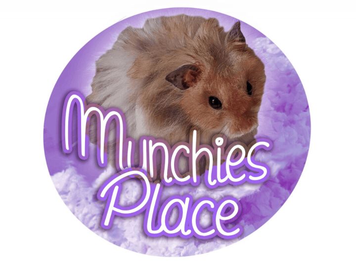Munchie's Place For Homeless Pets