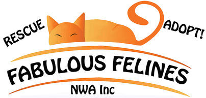 Fabulous Felines Nwa