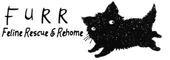 Feline Rescue And Rehome