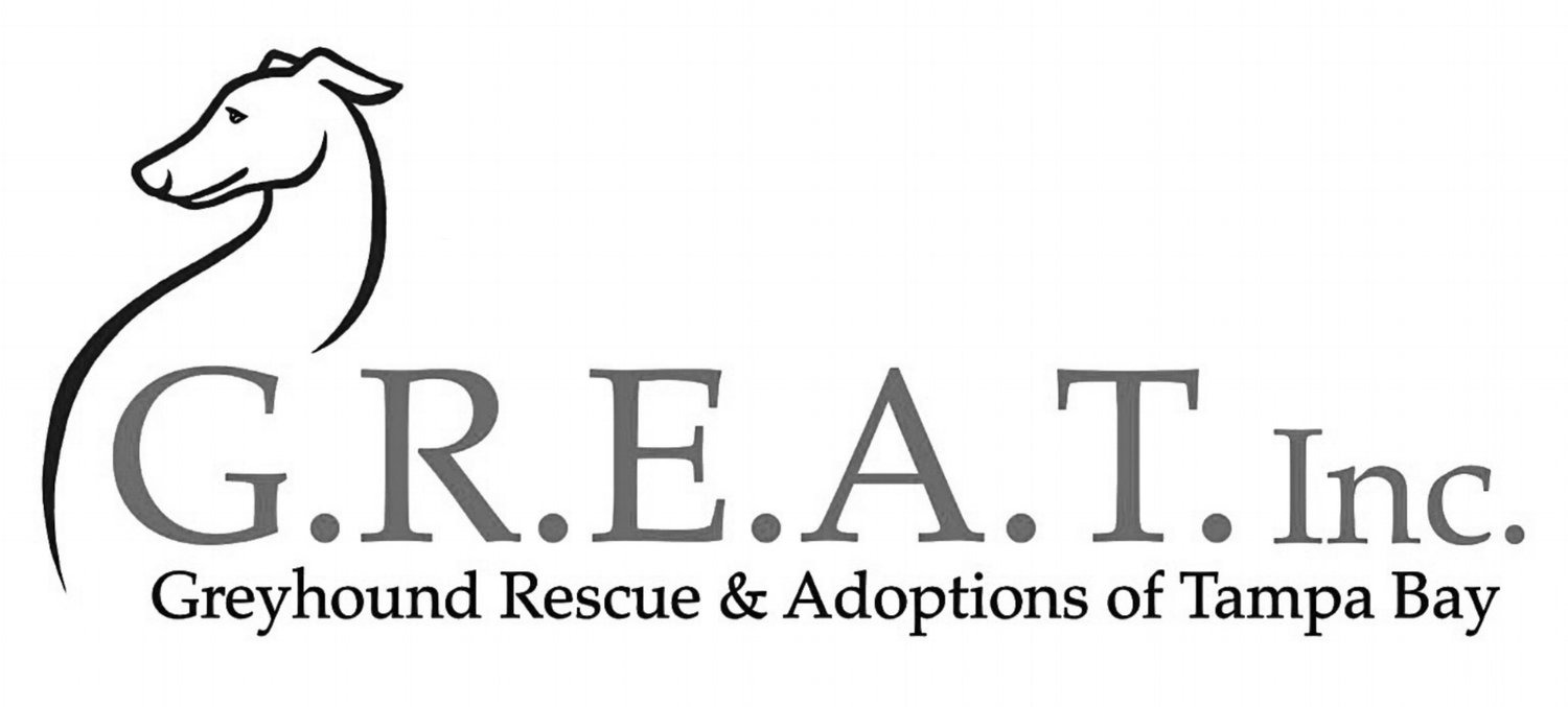 Greyhound Rescue And Adoptions Of Tampa Bay