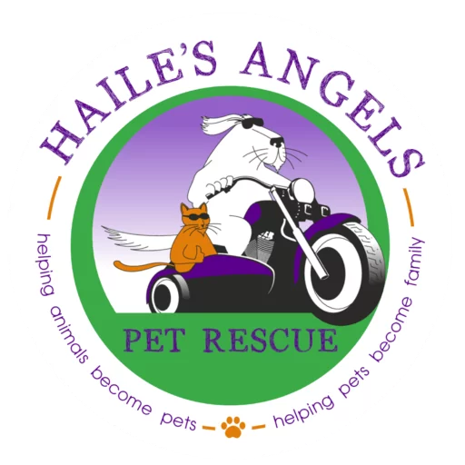 Haile's Angels Pet Rescue