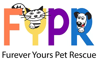 Furever Yours Pet Rescue