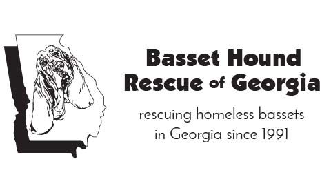 Basset Hound Rescue Of Georgia