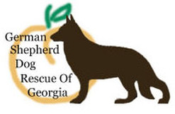 German Shepherd Dog Rescue Of Georgia Inc.