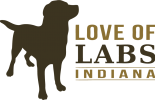 Love Of Labs' (lolin Inc.)
