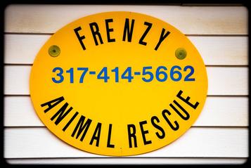 Frenzy Animal Rescue