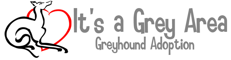 It's A Grey Area Greyhound Adoption Inc.