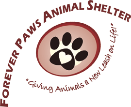 Forever Paws Animal Shelter