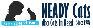 Neady Cats Inc.