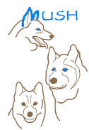 Massachusetts Union For Siberian Huskies Inc.