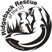Ridgeback Rescue Of The United States