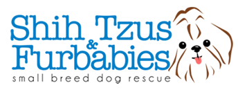 Shih Tzu And Furbaby Rescue