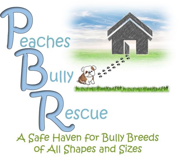 Peaches Bully Rescue