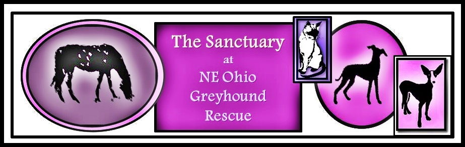 Ne Ohio Greyhound Rescue, Inc.
