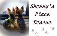 Sherry's Place Rescue