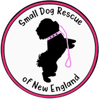 Small Dog Rescue Of New England Inc.
