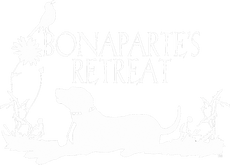Bonaparte's Retreat Dog Rescue