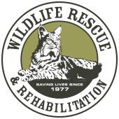 Wildlife Rescue & Rehabilitation