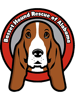 Basset Hound Rescue Of Alabama