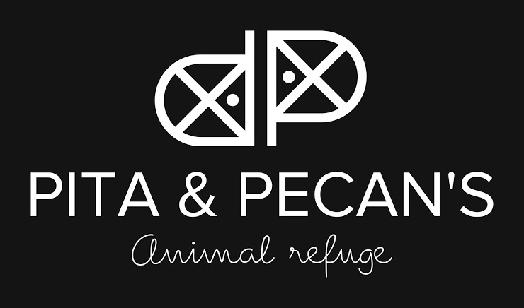 Pita & Pecan's Animal Refuge
