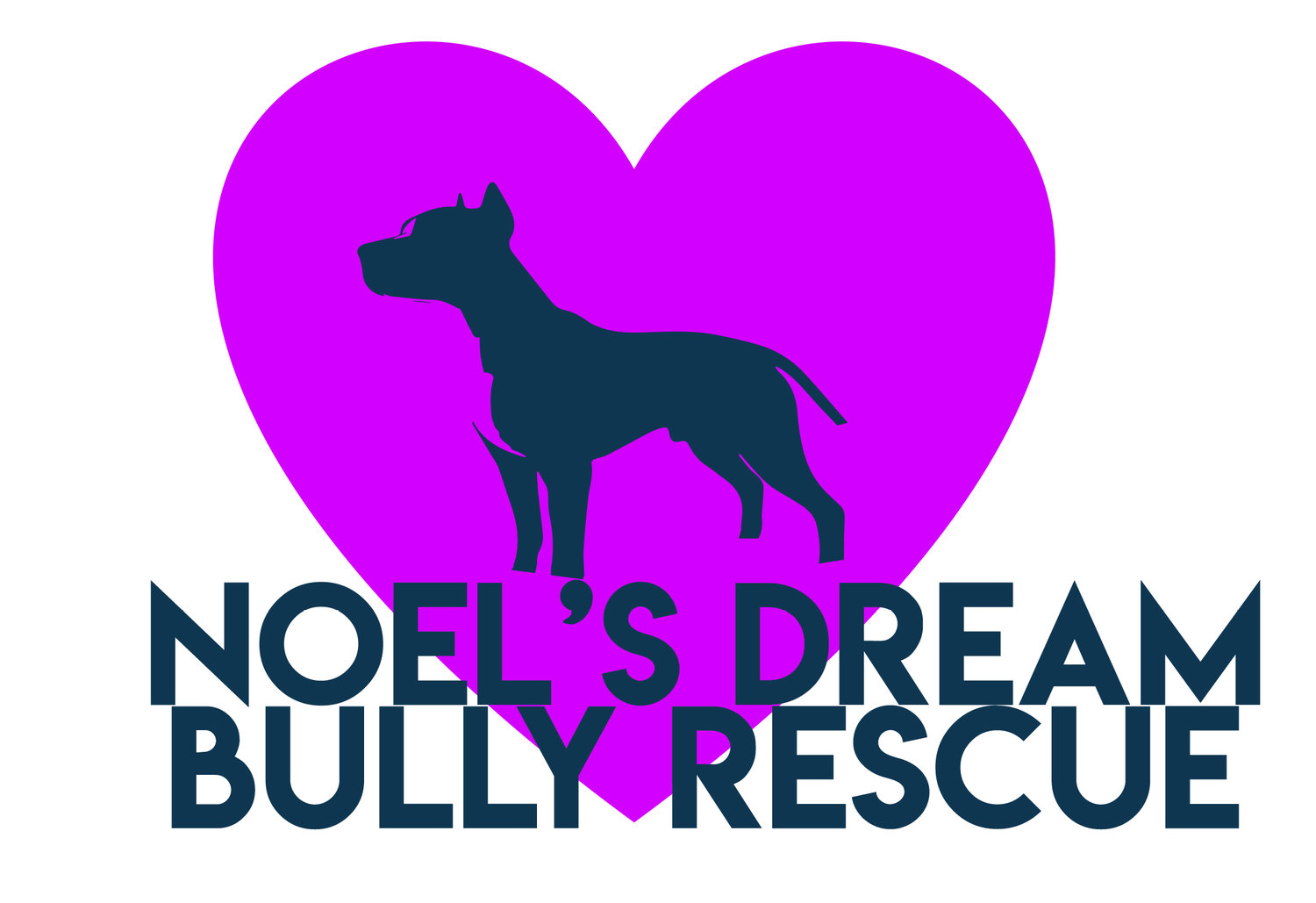 Noel's Dream Bully Rescue