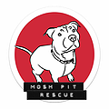 Mosh Pit Rescue