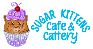 Sugar Kittens Cafe And Cattery