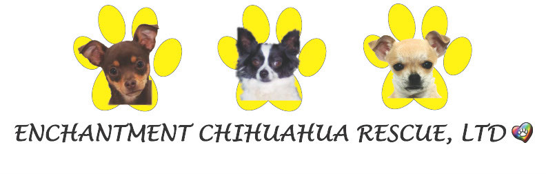 Enchantment Chihuahua Rescue Ltd