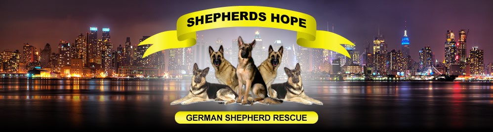 Shepherds Hope Rescue
