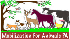 Mobilization For Animals Pa