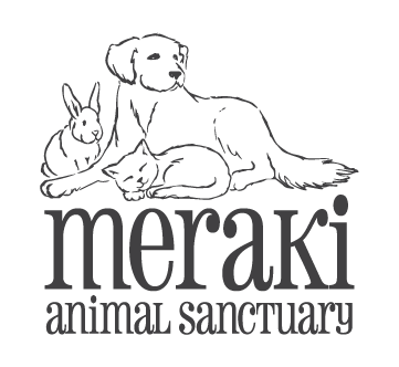 Meraki Animal Sanctuary
