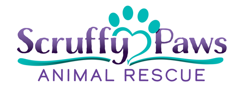 Scruffy Paws Animal Rescue