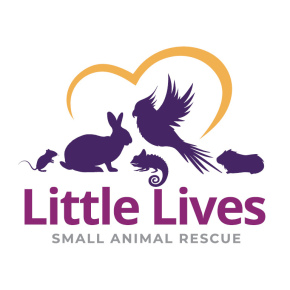 Little Lives Small Animal Rescue