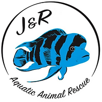 J&r Aquatic Animal Rescue