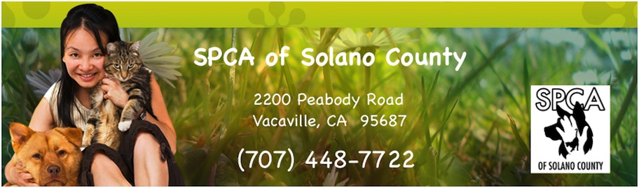Spca Of Solano County