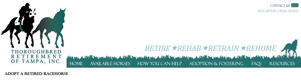 Thoroughbred Retirement Of Tampa, Inc.
