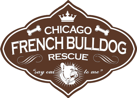 Chicago French Bulldog Rescue Inc.