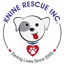Knine Rescue Inc.