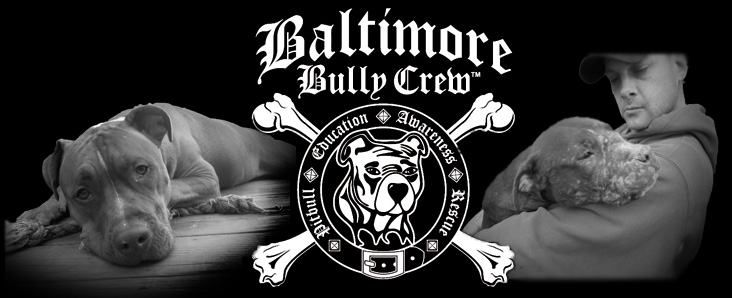 Baltimore Bully Crew Inc.