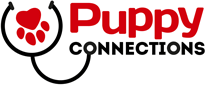 Puppy Connections