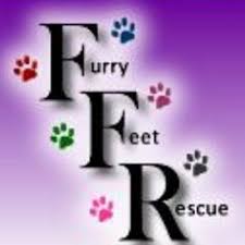 Furry Feet Rescue Inc.